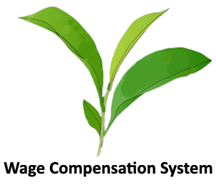 Wage Compensation System